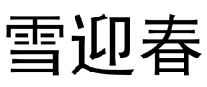 雪迎春  