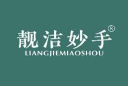 靓洁妙手 