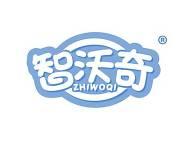 智沃奇 