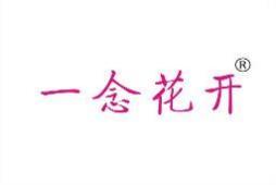 一念花开 