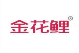 金花鲤 