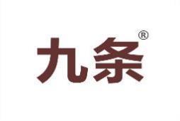 九条 