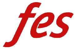 FES 