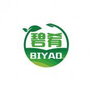 碧肴            BIYAO 