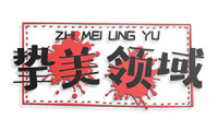 挚美领域 