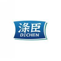 涤臣         DICHEN 