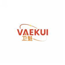 卫魁   VAEKUI 