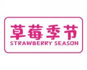 草莓季节 STRAWBERRY SEASON 