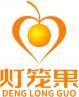 灯笼果+拼音+图形 