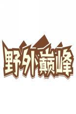 野外巅峰 