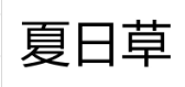 夏日草 