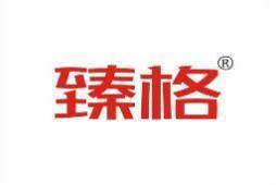 臻格 