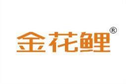 金花鲤 