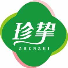 珍挚
zhenzhi 