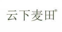 云下麦田 