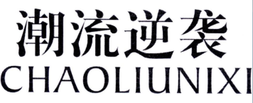 潮流逆袭CHAOLIUNIXI 