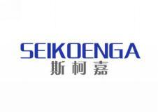 斯柯嘉 