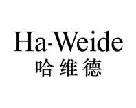 哈维德 