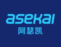 阿瑟凯 