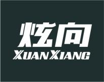 炫向 