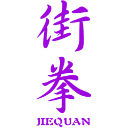 街拳 