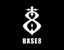 BXSE 8 