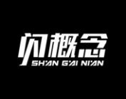 闪概念 