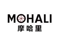 摩哈里 