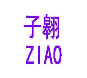 子翺 