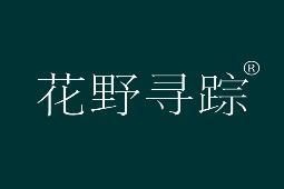 花野寻踪 
