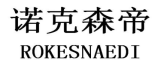 诺克森帝 ROKESNAEDI 