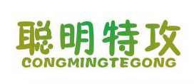 聪明特攻 
