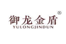 御龙金盾 