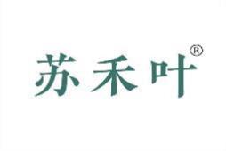 苏禾叶 