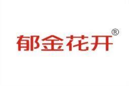 郁金花开 