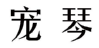 宠琴 