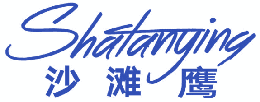 沙滩鹰 