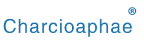 CHARCIOAPHAE