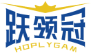 跃领冠HOPLYGAM 
