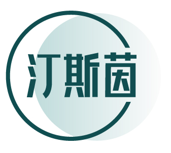 汀斯茵 