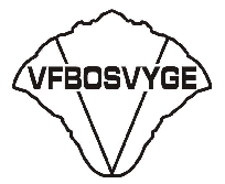 VFBOSVYGE 