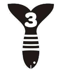Y3 