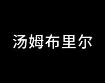 汤姆布里尔