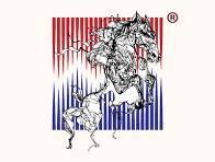 图形（马） 