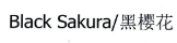 黑樱花 BLACK SAKURA 