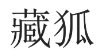[27类]藏狐
