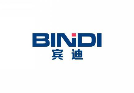 宾迪 