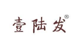 壹陆发 