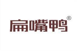扁嘴鸭 