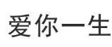 爱你一生 